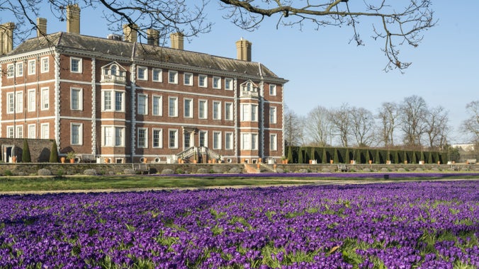 Ham House with crocus in early spring